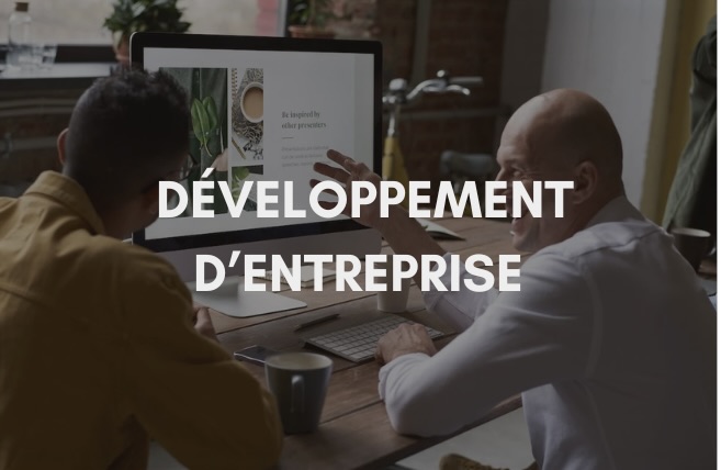 formation, entreprise, conseil, VNS Conseil